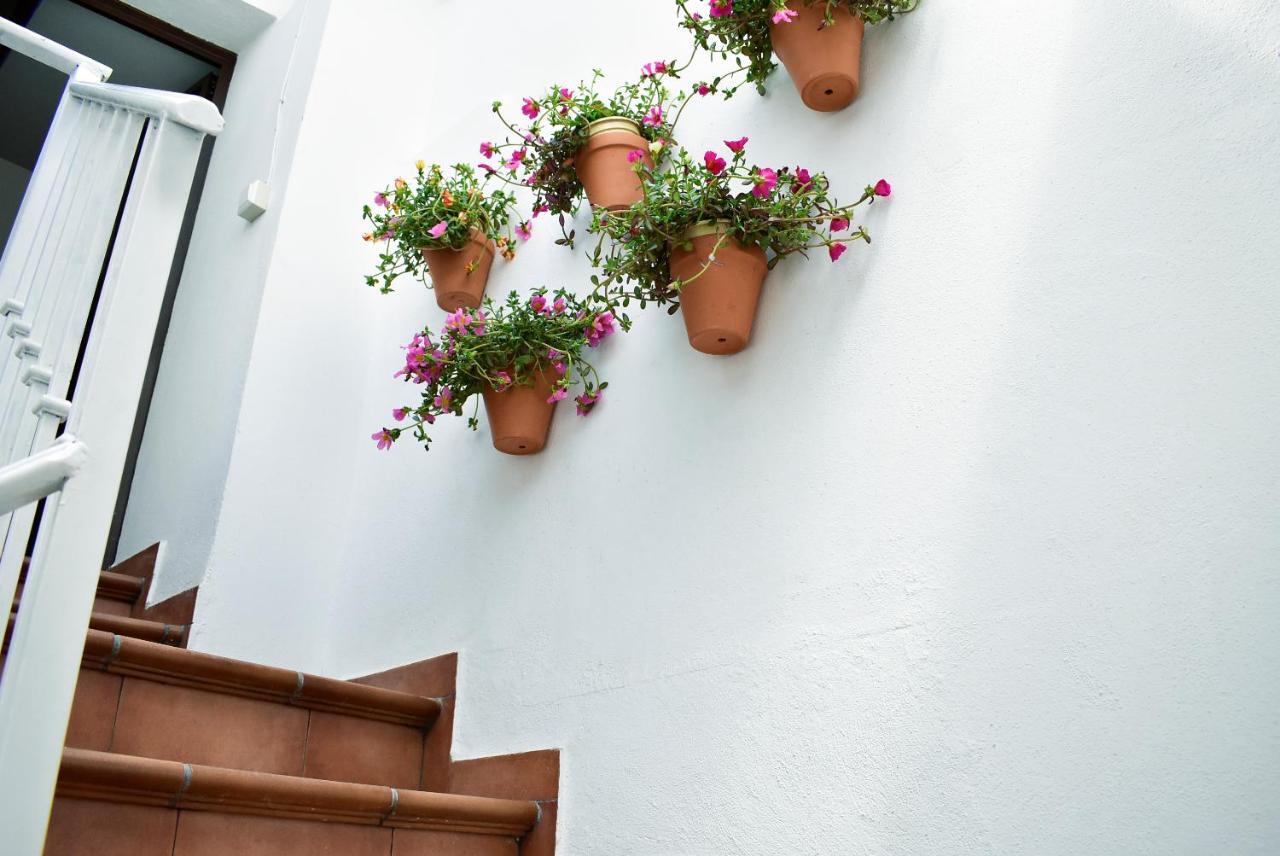 Casa Calma Ronda Estudio Apartment Exterior photo